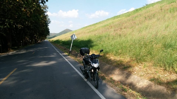 รถเลขสวย 55 กทม honda czi