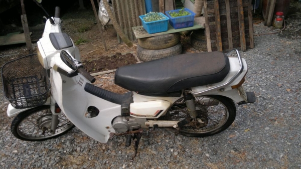 ขายถูก honda Dream ตามสภาพ ใช้งานได้