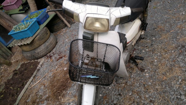 ขายถูก honda Dream ตามสภาพ ใช้งานได้