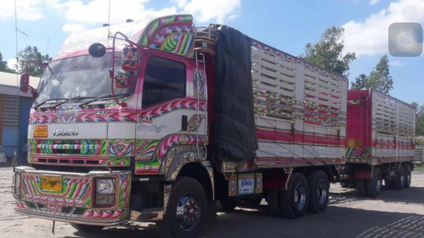 ขายรถพ่วงไม่ดั้ม 22 ล้อ แม่-ลูก กระบะเหล็กคอกเกษตร อู่.โชคชัย อุดรธานี ISUZU 360 ปี.55 รถสวย ราคา.24