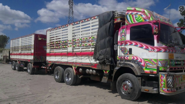ขายรถพ่วงไม่ดั้ม 22 ล้อ แม่-ลูก กระบะเหล็กคอกเกษตร อู่.โชคชัย อุดรธานี ISUZU 360 ปี.55 รถสวย ราคา.24