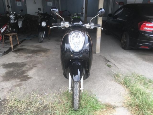 scoopy i ปี55