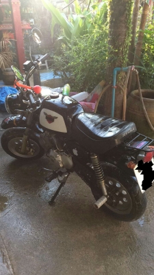 กอลิล่ามือสอง