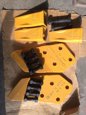 0624215584 -ขายบุ้งกี๋ ขนาด 0.5 คิว ราคา 23,000 บาท (ส่งฟรี ใกล้ กรุงเทพฯ)