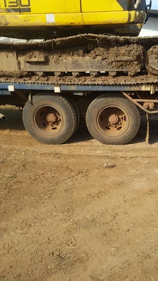 หางปลา หัวยาว หางปลา หัวยาว