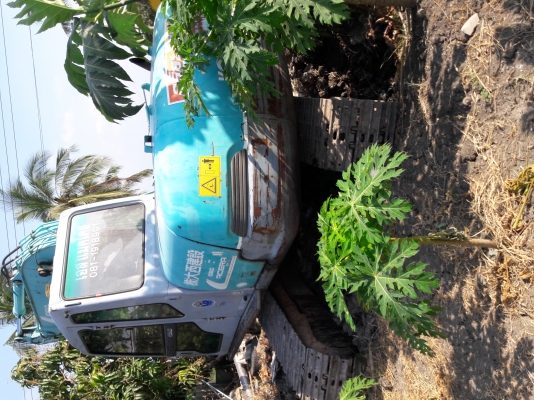 ขายค่ะ.KOBELCO SK120-3  มาร์คไฟว์ซุปเปอร์  เก่าใน  สภาพดี  เอกสารอินวอยครบ  ลองระบบกันได้ทุกวัน  โทร  089-3818694  ดวงนภา