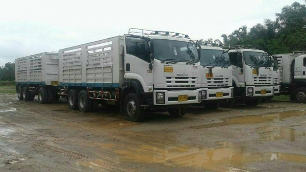 ขาย10พ่วงIsuzu 360ปี53พ่วงแม่ลูกไม่ดั้ม สภาพพร้อมใช้ ติดต่อคุณอ๊อฟพิจิตร086-737-9991