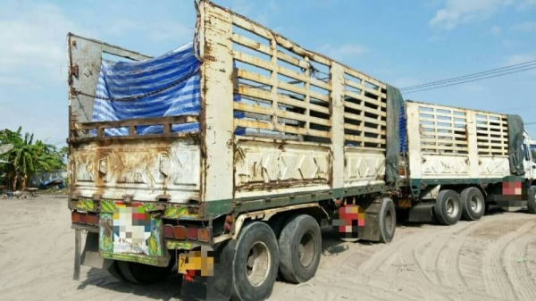 ขาย 1,695,000 ISUZU DECA 320 แรง แม่ปี 50 ไม่ดั้ม -ลูกไม่ดั้มกรการสิน 3 คานแท้ ปี 50 เครื่องเดิม เกี
