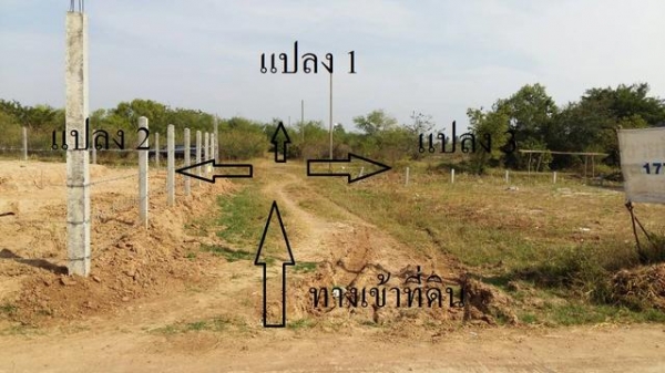 ขายที่ดินเปล่าที่ตัวอำเภอหนองกี่ 80 ตารางวา