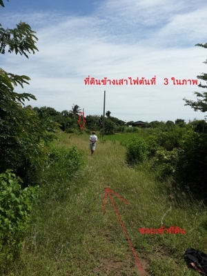 ขายที่ดินเปล่า 100 ตารางวา