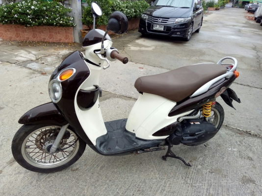 เจลิโต้