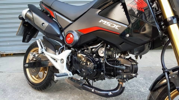 HONDA MSX 125 CC ปี 2016ต่อภาษีและพรบ.ไว้ปีหน้า 2561 ฟรีค่าโอน