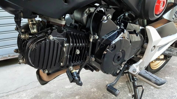 HONDA MSX 125 CC ปี 2016ต่อภาษีและพรบ.ไว้ปีหน้า 2561 ฟรีค่าโอน