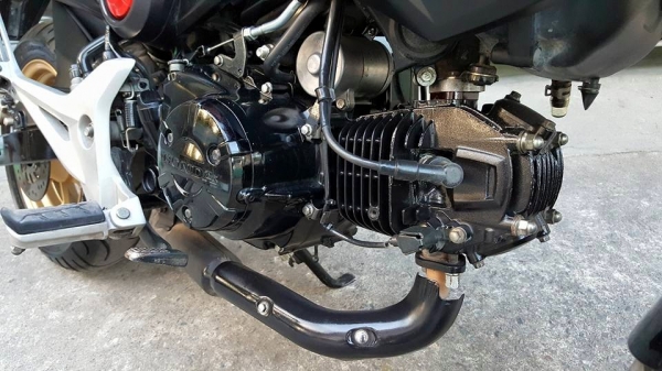 HONDA MSX 125 CC ปี 2016ต่อภาษีและพรบ.ไว้ปีหน้า 2561 ฟรีค่าโอน