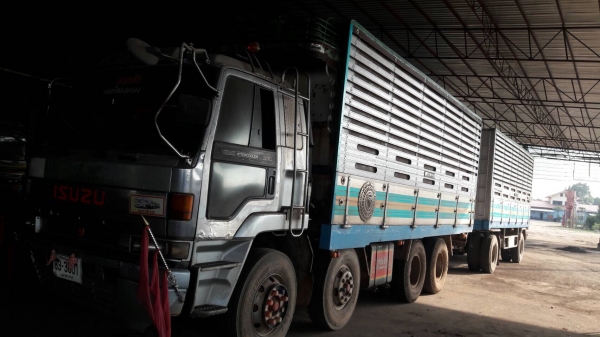 Isuzu 270 แรงม้า พ่วงแม่ลูก 2 คาน ดั๊มแม่และลูก คอกเกษตร Isuzu 270 แรงม้า พ่วงแม่ลูก 2 คาน ดั๊มแม่และลูก คอกเกษตร