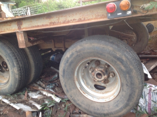 ขายเทเลอร์ลากแมคโคร