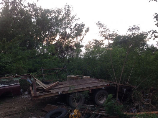 ขายเทเลอร์ลากแมคโคร