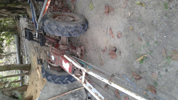 โครงบิ๊กจิ๋ว