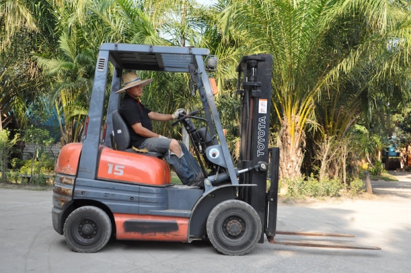 ขายFORKLIFT TOTOTA 6FG15 (1.5ตัน) เสา3เมตร สวยเดิมจากญี่ปุ่น ยังไม่เคยใช้ในไทย 139,000เท่านั้น!!