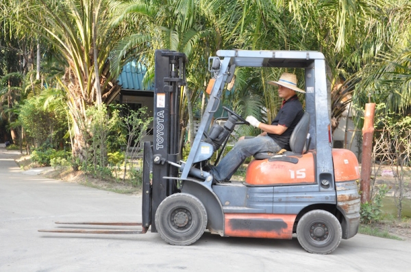 ขายFORKLIFT TOTOTA 6FG15 (1.5ตัน) เสา3เมตร สวยเดิมจากญี่ปุ่น ยังไม่เคยใช้ในไทย 139,000เท่านั้น!!