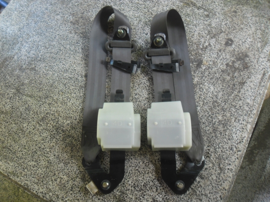 เข็มขัดมิตซูแชมป์