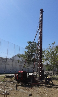 ปั้นจั่น 3ขา