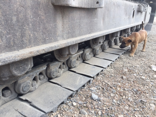 ขายถูกรถแบคโฮ Komatsu PC300 รุ่น 8 สภาพดี รถใช้งาน 12,920 ชม. สำหรับงานเหมือง หรือโครงการก่อสร้างขนาดใหญ่