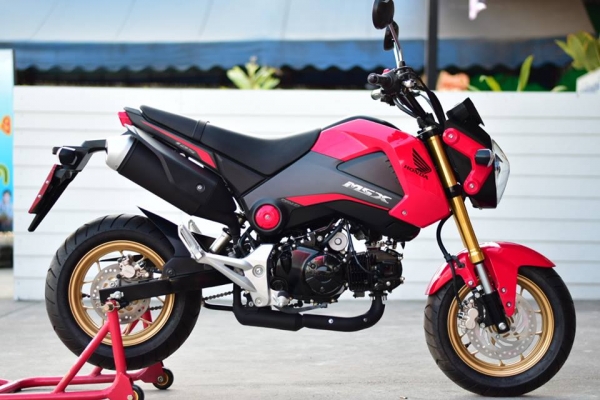HONDA MSX 125 สภาพป้ายแดง ราคา เบา ๆ HONDA MSX 125 สภาพป้ายแดง ราคา เบา ๆ