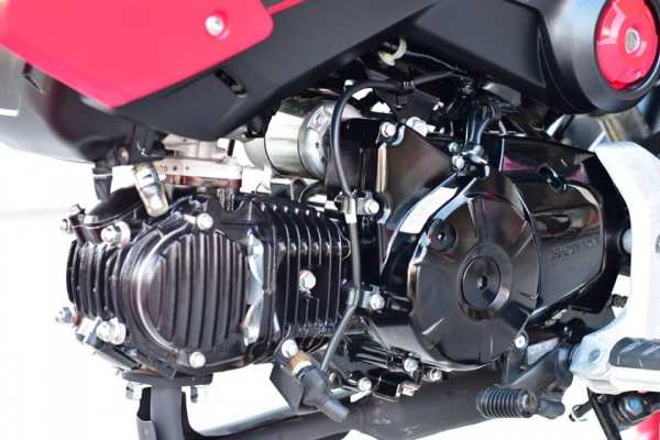 HONDA MSX 125 สภาพป้ายแดง ราคา เบา ๆ HONDA MSX 125 สภาพป้ายแดง ราคา เบา ๆ