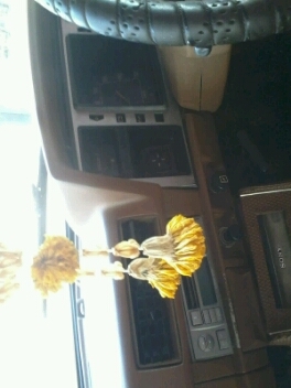 ขายดัสสัน 720 37000 ขายดัสสัน 720 37000