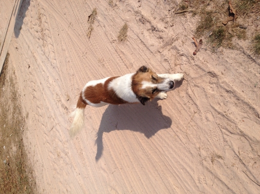 ขายโครงรถ kubota KRT-140 ราคาหมื่นกว่า (ขายแล้วกลางอากาศครับ)