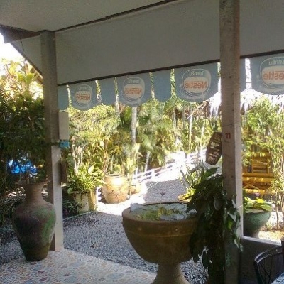 ขายด่วน กิจการสวนอาหาร พร้อมบ้าน ที่ดิน ขายด่วน กิจการสวนอาหาร พร้อมบ้าน ที่ดิน