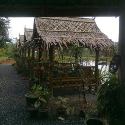 ขายด่วน กิจการสวนอาหาร พร้อมบ้าน ที่ดิน ขายด่วน กิจการสวนอาหาร พร้อมบ้าน ที่ดิน