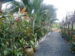 ขายด่วน กิจการสวนอาหาร พร้อมบ้าน ที่ดิน