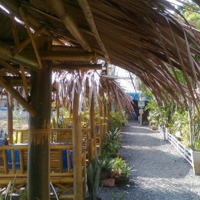 ขายด่วน กิจการสวนอาหาร พร้อมบ้าน ที่ดิน ขายด่วน กิจการสวนอาหาร พร้อมบ้าน ที่ดิน