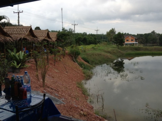 ขายด่วน กิจการสวนอาหาร พร้อมบ้าน ที่ดิน ขายด่วน กิจการสวนอาหาร พร้อมบ้าน ที่ดิน