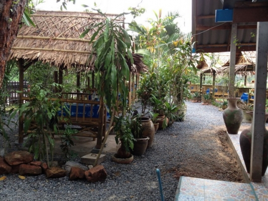 ขายด่วน กิจการสวนอาหาร พร้อมบ้าน ที่ดิน ขายด่วน กิจการสวนอาหาร พร้อมบ้าน ที่ดิน