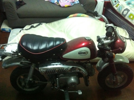 ขาย มังกี้ ยี่ปุ่น 28000