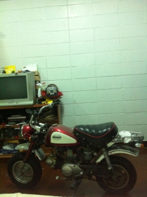 ขาย มังกี้ ยี่ปุ่น 28000