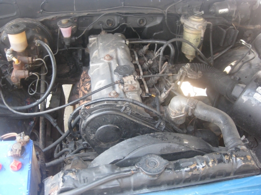 ขายม้ากระโดด ดามแช๊ชซีแล้ว เลิกโครงการวางคาน