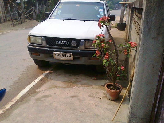 ขายด่วน..รถปิ๊กอัพ ISUZU TFR ปี 33 เครื่องดี คัสซีสวย รถสวย พร้อมใช้ มีแอร์เย็นฉ่ำ.