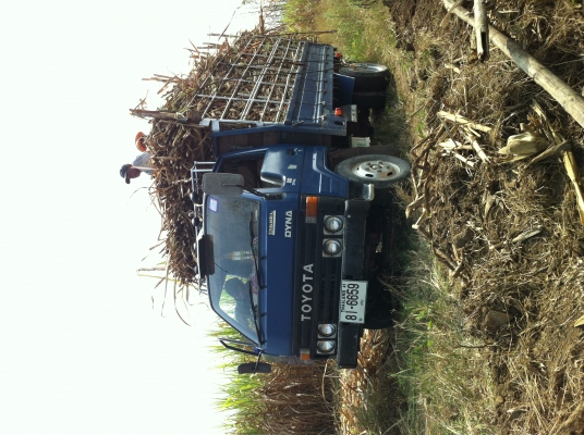 ขาย 6 ล้อ TOYOTA DYNA300 เครื่อง14B 115 แรงม้า เครื่องดีสภาพสวย