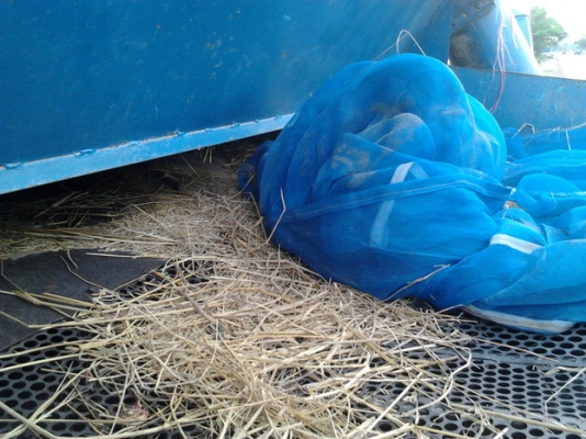 ขาย 6ล้อพร้อมตู้นวด6ฟุต ISUZU TL85 วางเครื่อง 4BD1 115 แรง แห้งดี ติดง่าย ไม่หลวม ช่วงล่างดี คัสซีสวย เสริมเหล็กบน ไม่ผุไม่บวม เกียร์ ดีเข้างา่ยไม่มีหลุด ยางดี 5เส้น ไม่ดี1เส้น ภายในดีหัวบางมีผุนิดๆ สีต้องเก็บนิดหน่อย พร้อมตู้นวด ขนาด6ฟุต สภาพดี ใช้งานได้