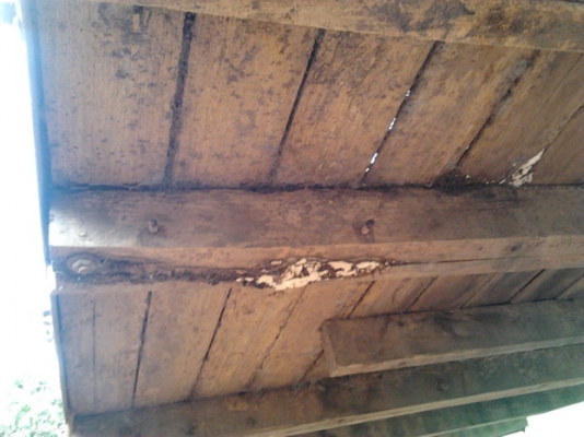 ขาย 6ล้อพร้อมตู้นวด6ฟุต ISUZU TL85 วางเครื่อง 4BD1 115 แรง แห้งดี ติดง่าย ไม่หลวม ช่วงล่างดี คัสซีสวย เสริมเหล็กบน ไม่ผุไม่บวม เกียร์ ดีเข้างา่ยไม่มีหลุด ยางดี 5เส้น ไม่ดี1เส้น ภายในดีหัวบางมีผุนิดๆ สีต้องเก็บนิดหน่อย พร้อมตู้นวด ขนาด6ฟุต สภาพดี ใช้งานได้