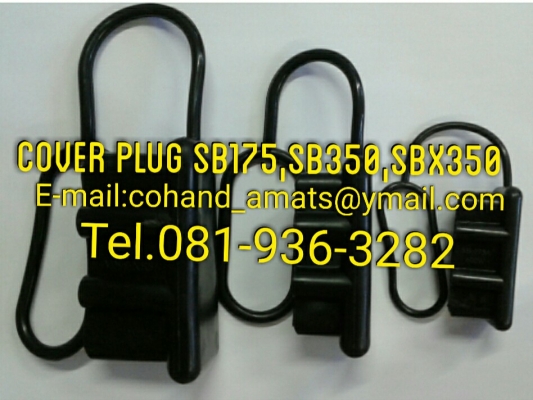 cover plug
