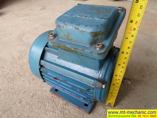 มอเตอร์สามเฟส 1/2แรง