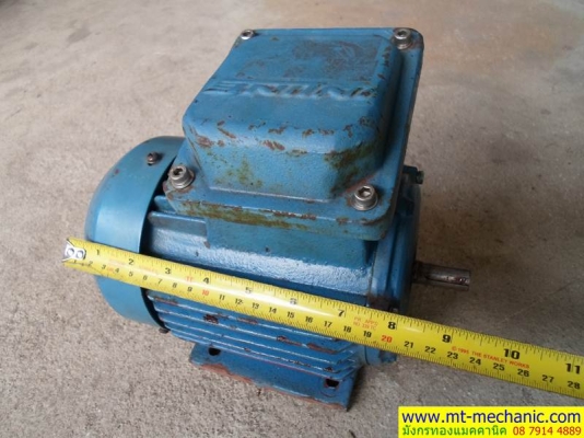 มอเตอร์สามเฟส 1/2แรง