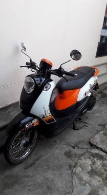 ขายฟรีโน มีทะเบียนเอกสารชุดโอนครบ ขายฟรีโน มีทะเบียนเอกสารชุดโอนครบ