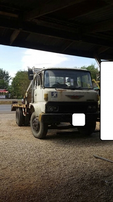 หางปลา HINO