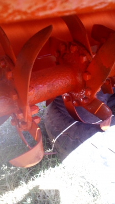 โลตารี180ชมตราช้าง